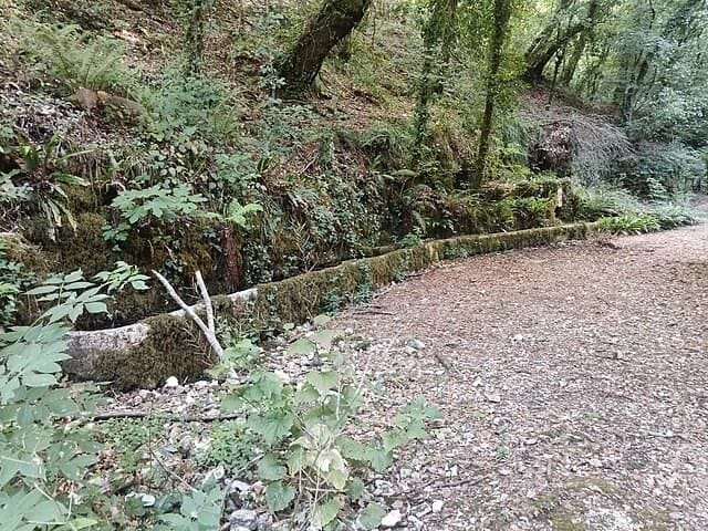 Percorso naturalistico di Vico del Gargano.