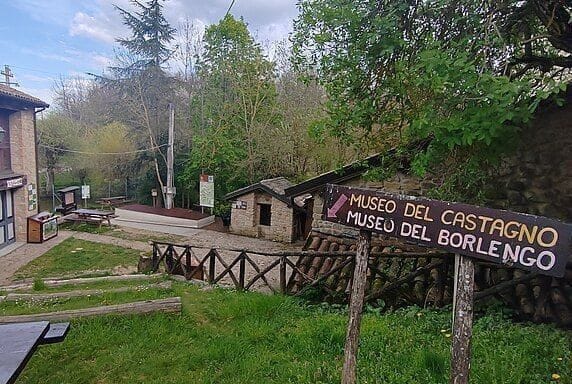 Paesaggio appenninico di Zocca tra castagneti e boschi, borgo natale di Vasco Rossi nel modenese.